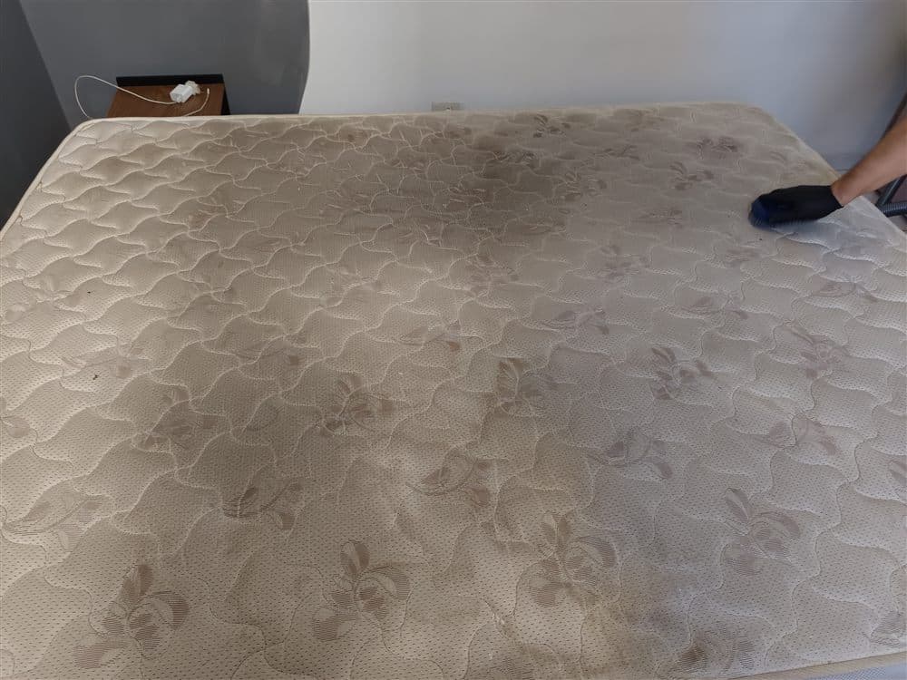 Colchão de casal com manchas sendo higienizado com máquina extratora em domicílio